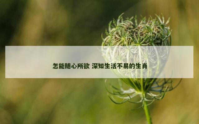 怎能随心所欲 深知生活不易的生肖