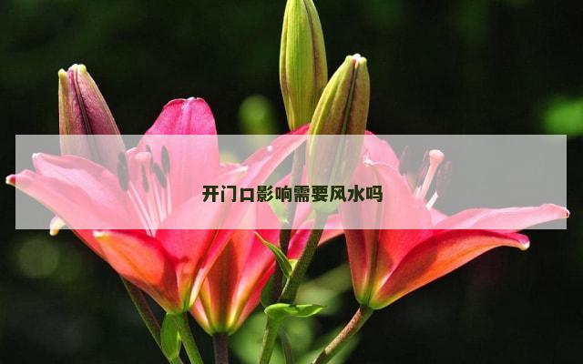 开门口影响需要风水吗