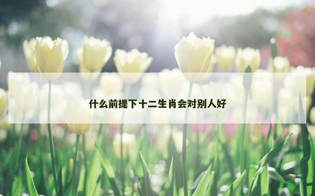 什么前提下十二生肖会对别人好