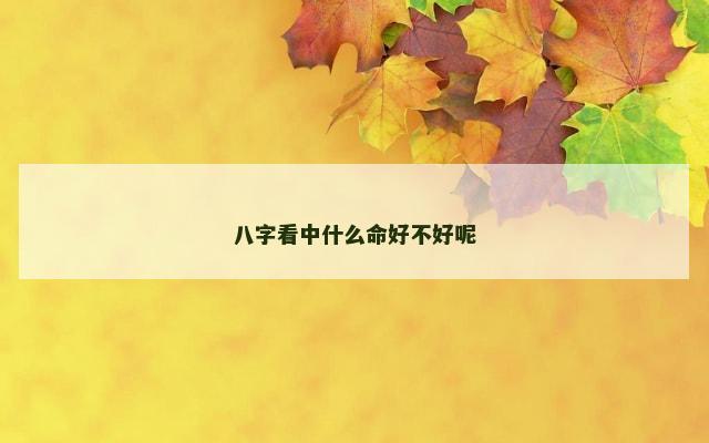 八字看中什么命好不好呢