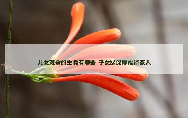 儿女双全的生肖有哪些 子女缘深厚福泽家人