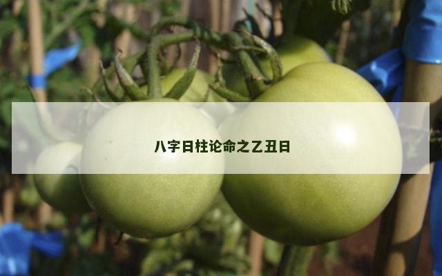 八字日柱论命之乙丑日