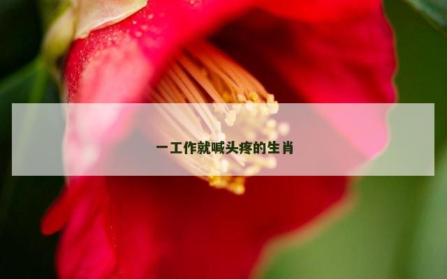 一工作就喊头疼的生肖