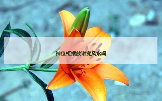 神位柜摆放讲究风水吗