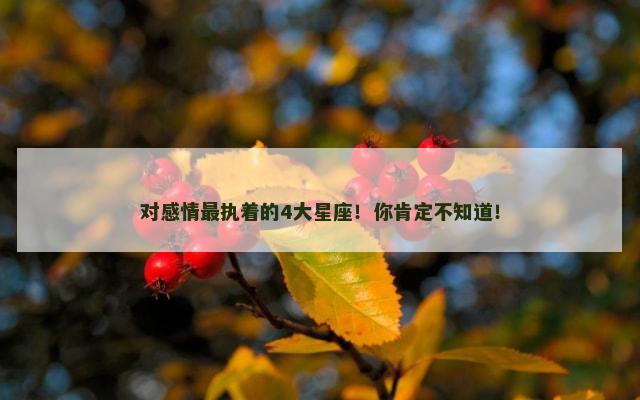 对感情最执着的4大星座！你肯定不知道！