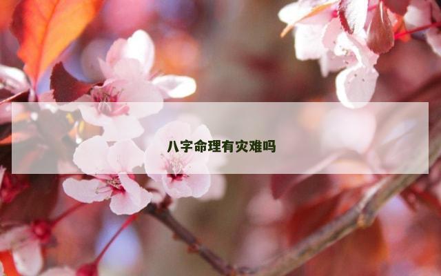 八字命理有灾难吗