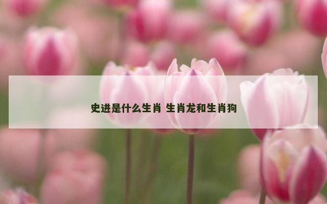 史进是什么生肖 生肖龙和生肖狗