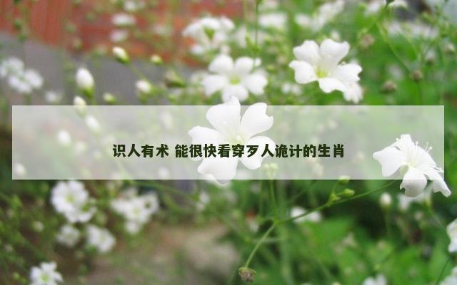 识人有术 能很快看穿歹人诡计的生肖