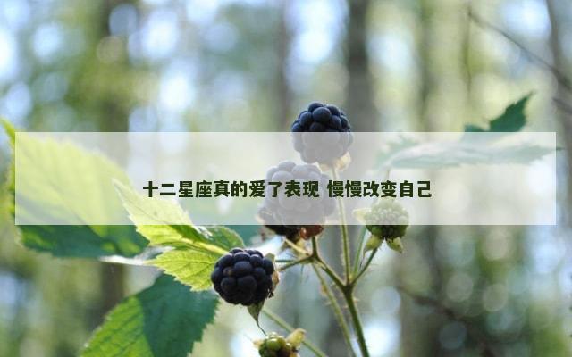 十二星座真的爱了表现 慢慢改变自己