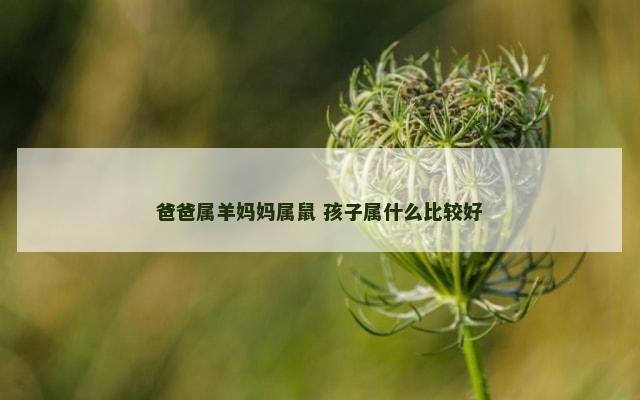 爸爸属羊妈妈属鼠 孩子属什么比较好
