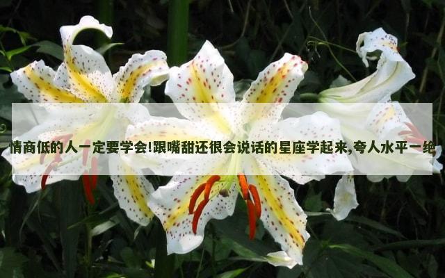 情商低的人一定要学会!跟嘴甜还很会说话的星座学起来,夸人水平一绝