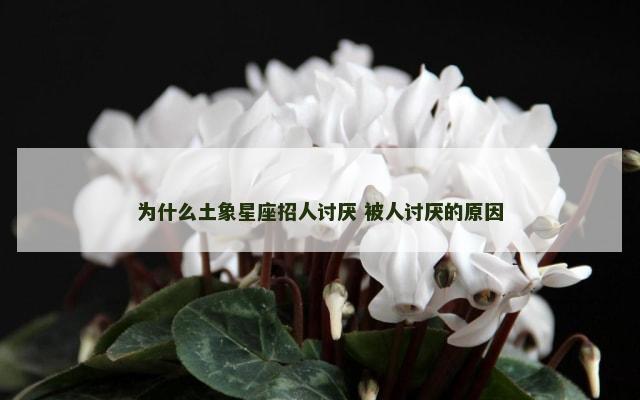 为什么土象星座招人讨厌 被人讨厌的原因