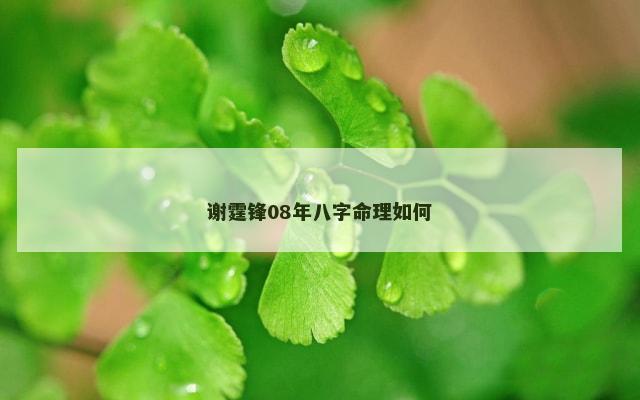 谢霆锋08年八字命理如何