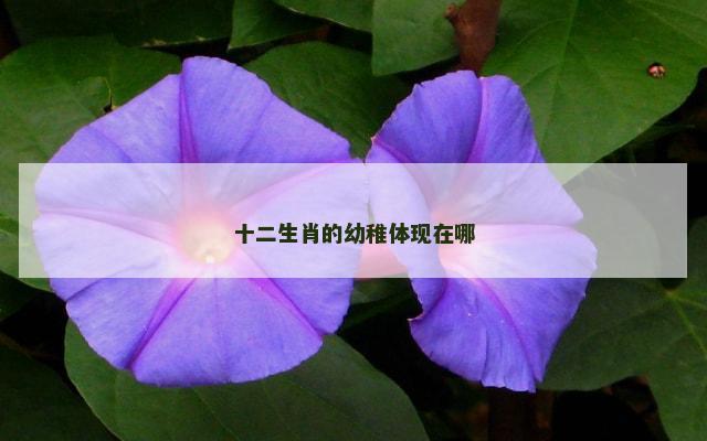 十二生肖的幼稚体现在哪