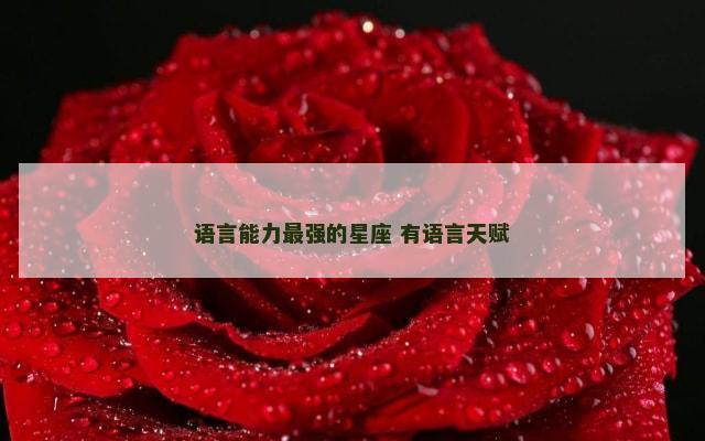 语言能力最强的星座 有语言天赋