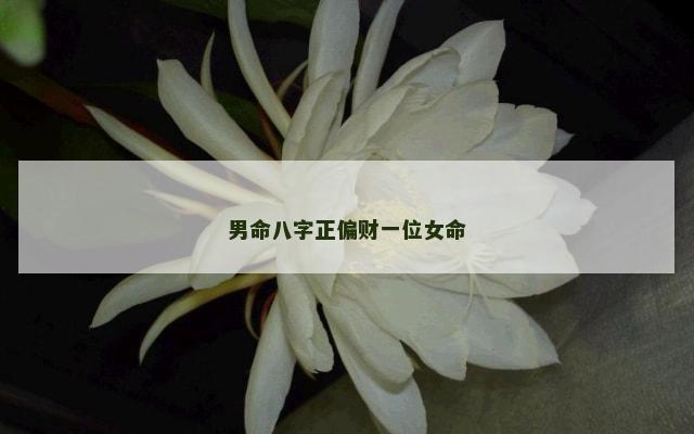 男命八字正偏财一位女命