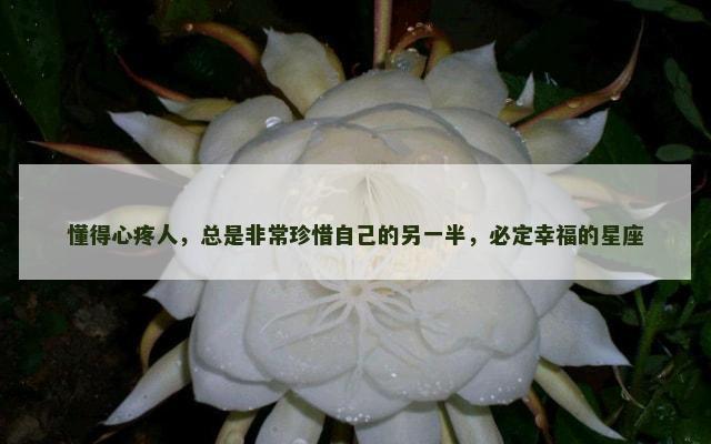 懂得心疼人，总是非常珍惜自己的另一半，必定幸福的星座