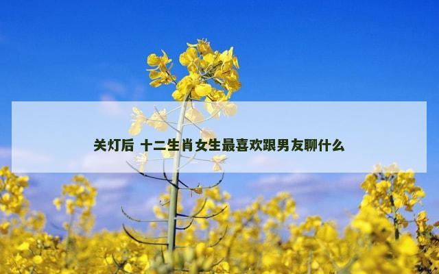 关灯后 十二生肖女生最喜欢跟男友聊什么