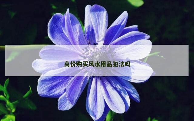 高价购买风水用品犯法吗