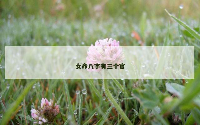 女命八字有三个官