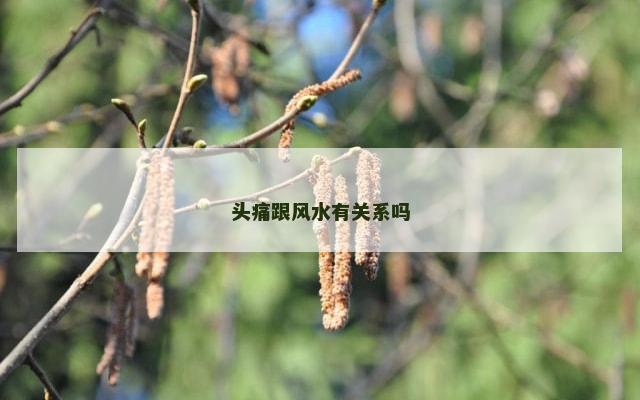 头痛跟风水有关系吗