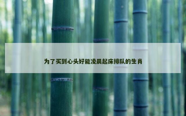 为了买到心头好能凌晨起床排队的生肖
