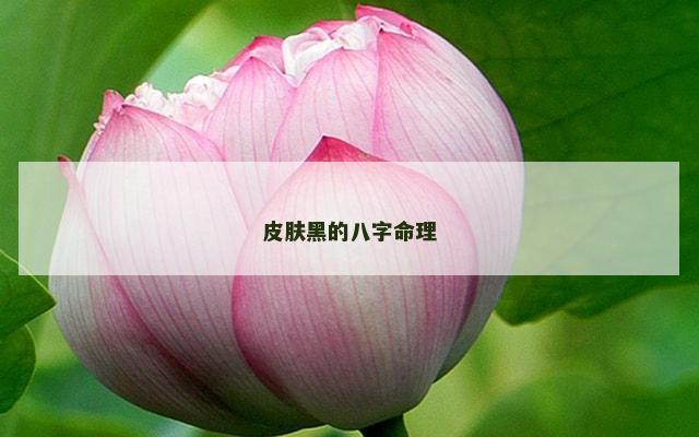 皮肤黑的八字命理