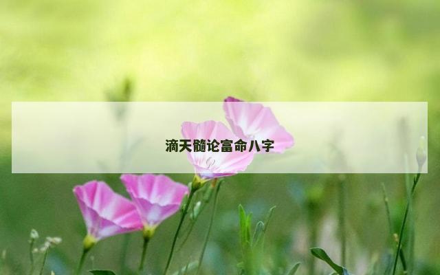 滴天髓论富命八字