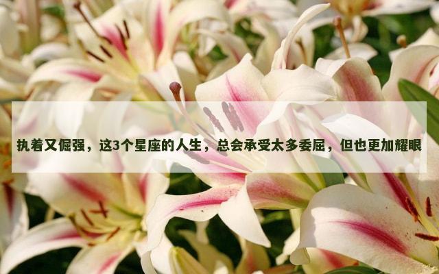 执着又倔强，这3个星座的人生，总会承受太多委屈，但也更加耀眼