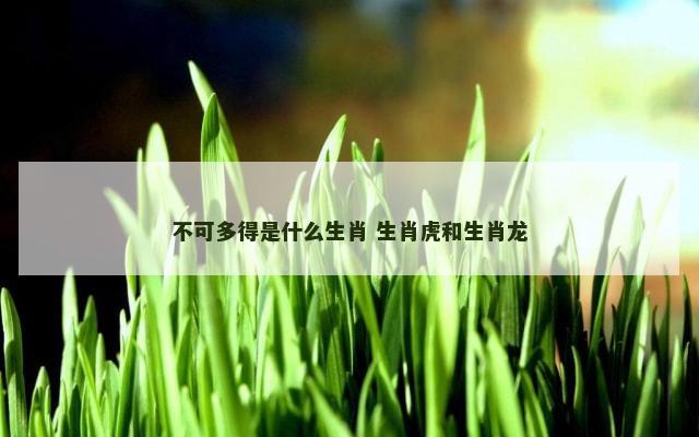 不可多得是什么生肖 生肖虎和生肖龙
