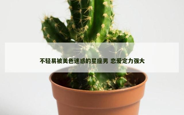 不轻易被美色迷惑的星座男 恋爱定力强大