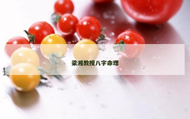 梁湘教授八字命理