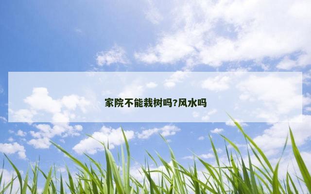 家院不能栽树吗?风水吗