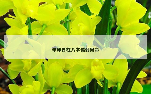辛卯日柱八字偏弱男命