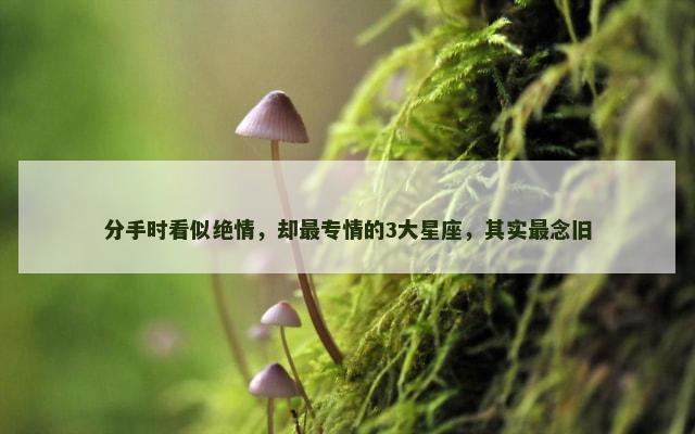 分手时看似绝情，却最专情的3大星座，其实最念旧