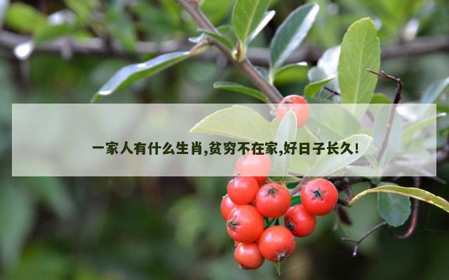 一家人有什么生肖,贫穷不在家,好日子长久！