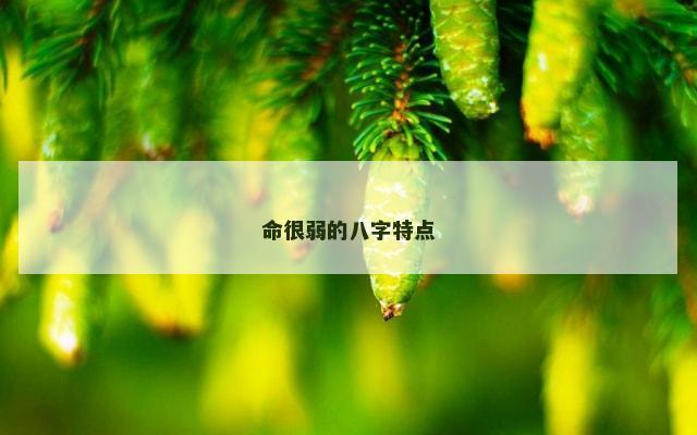 命很弱的八字特点