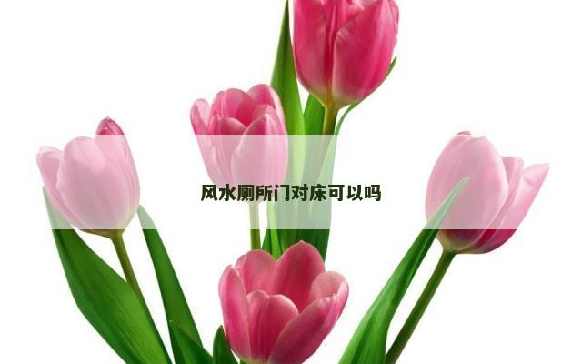 风水厕所门对床可以吗