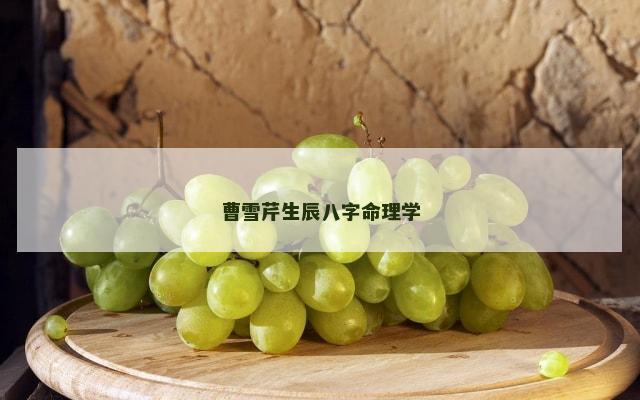 曹雪芹生辰八字命理学