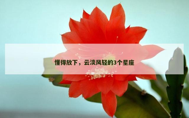 懂得放下，云淡风轻的3个星座