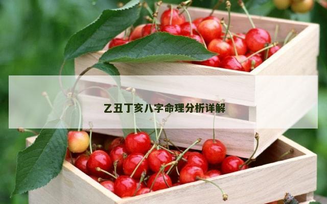 乙丑丁亥八字命理分析详解