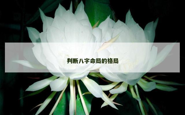 判断八字命局的格局