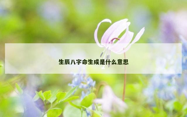 生辰八字命生成是什么意思