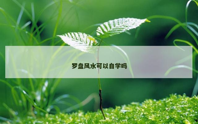 罗盘风水可以自学吗
