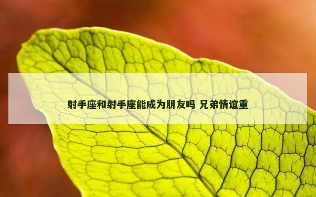 射手座和射手座能成为朋友吗 兄弟情谊重