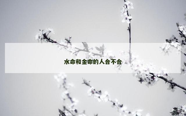 水命和金命的人合不合
