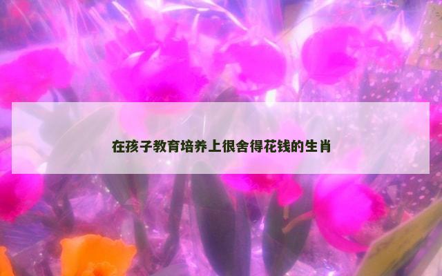 在孩子教育培养上很舍得花钱的生肖