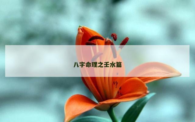 八字命理之壬水篇