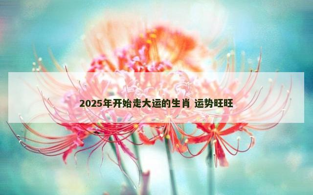 2025年开始走大运的生肖 运势旺旺