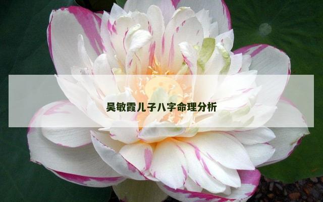 吴敏霞儿子八字命理分析